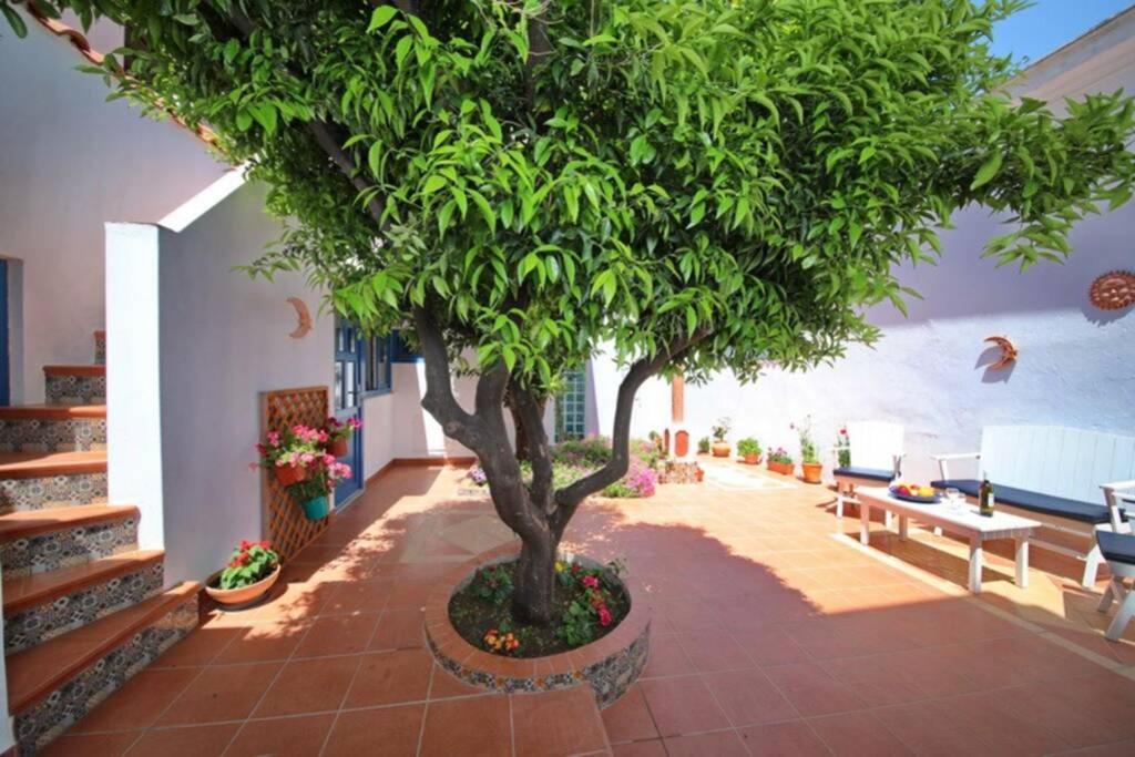 Philoxenia Guest House Skopelos Town Ngoại thất bức ảnh