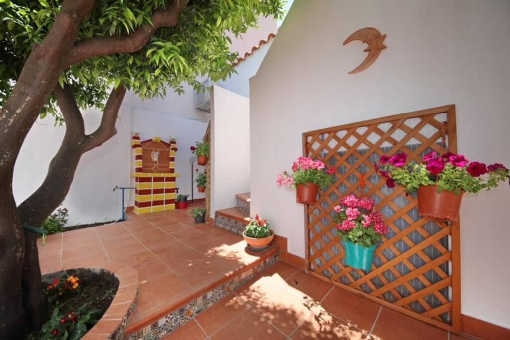 Philoxenia Guest House Skopelos Town Ngoại thất bức ảnh